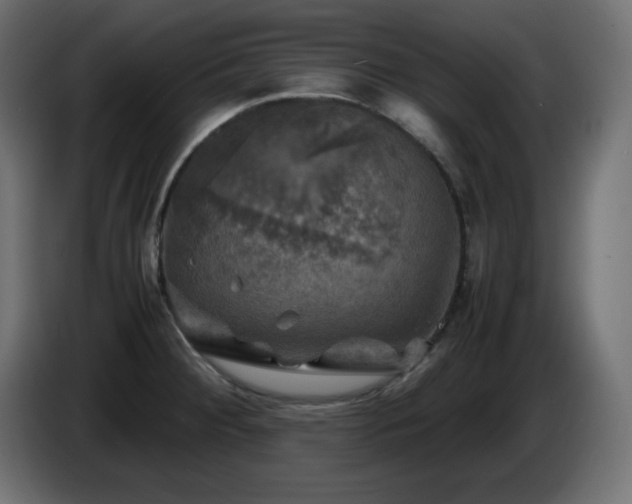 X0000087011284200704161535