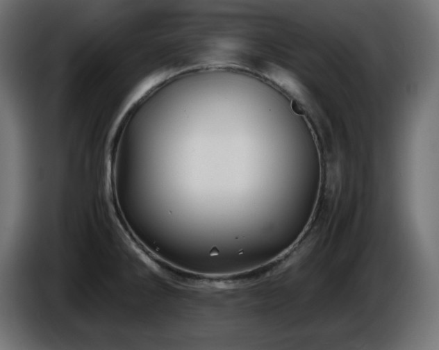 X0000087011286200704161535