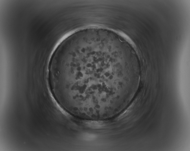 X0000087011287200704161535