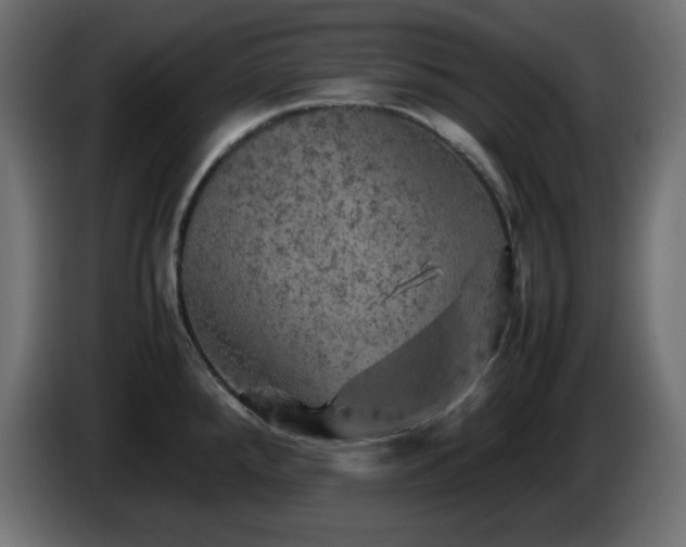 X0000087011288200704161535