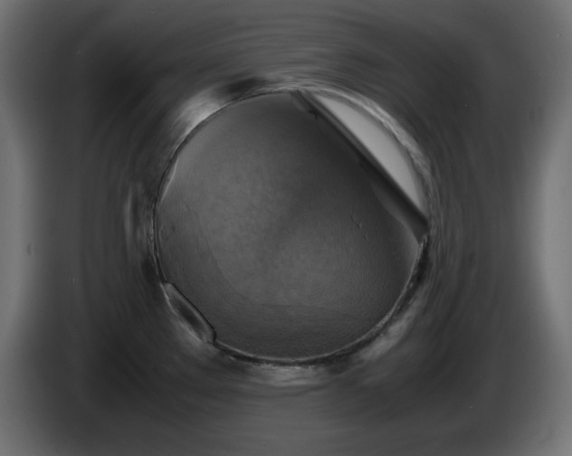 X0000087011289200704161535