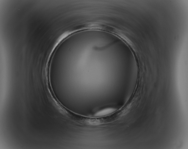 X0000087011291200704161535
