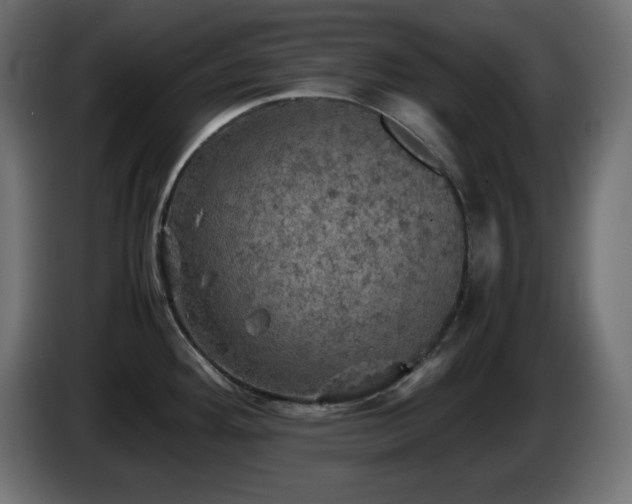 X0000087011292200704161535