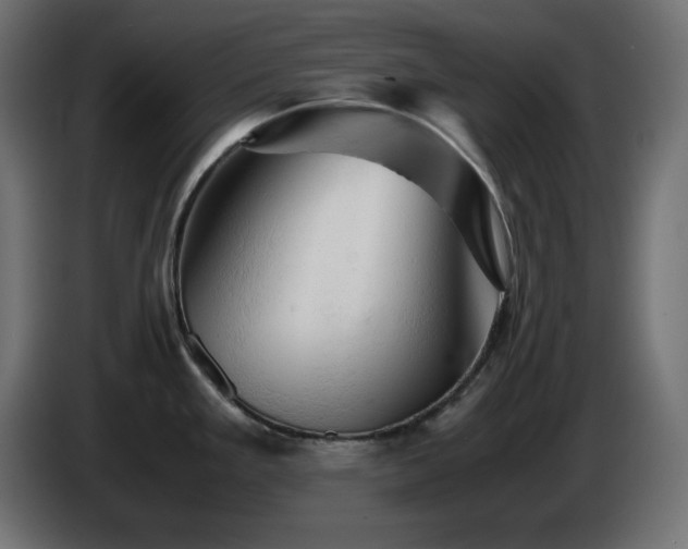 X0000087011293200704161535
