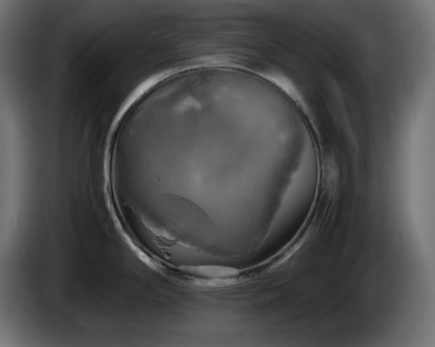 X0000087011294200704161535
