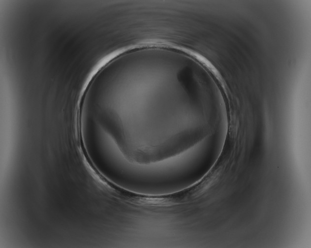 X0000087011295200704161535