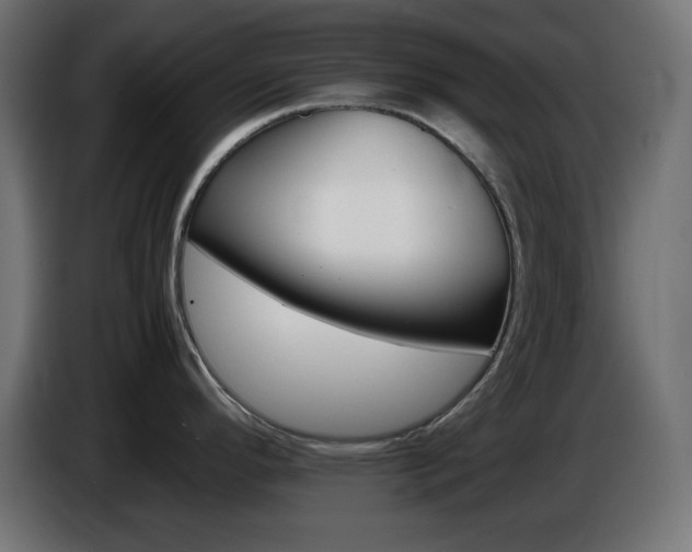 X0000087011296200704161535