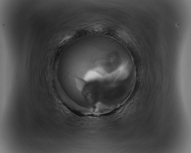 X0000087011297200704161534