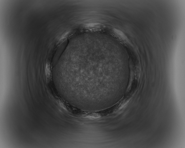 X0000087011298200704161534