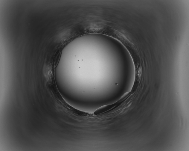 X0000087011299200704161534
