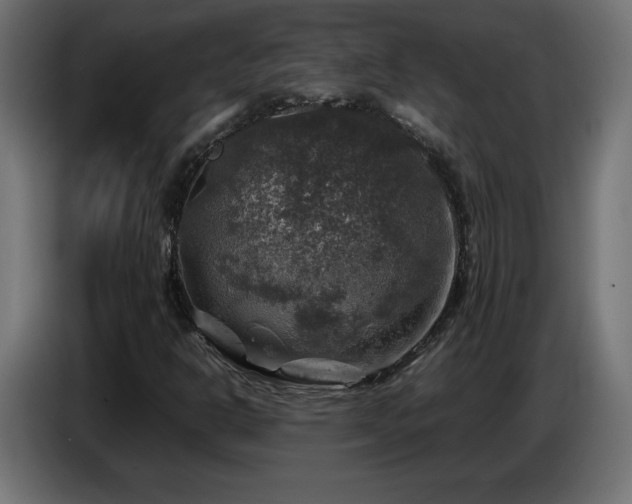 X0000087011302200704161534