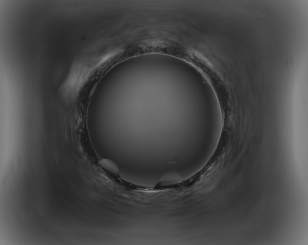 X0000087011303200704161534