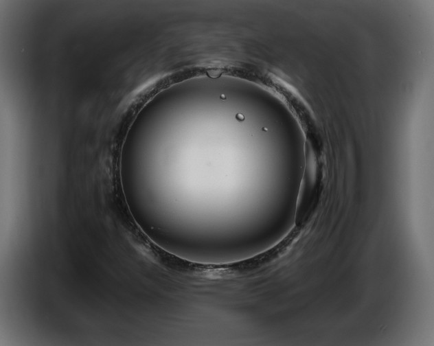 X0000087011304200704161534