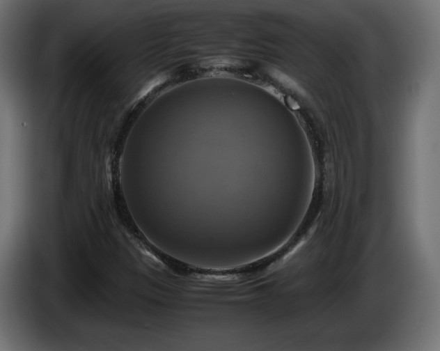 X0000087011305200704161534