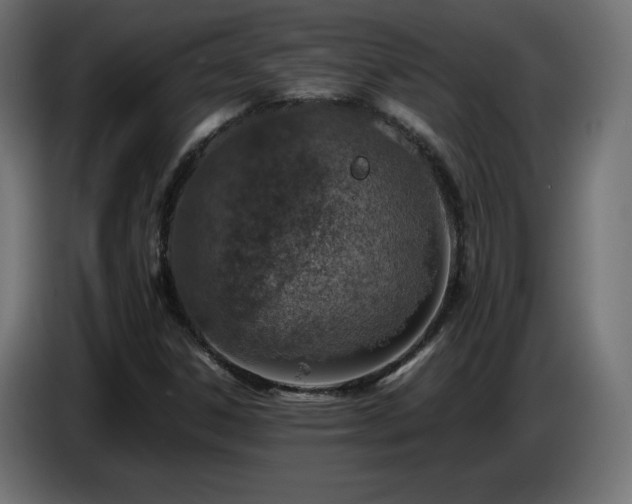 X0000087011306200704161534