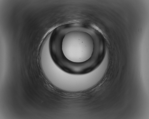 X0000087011308200704161534