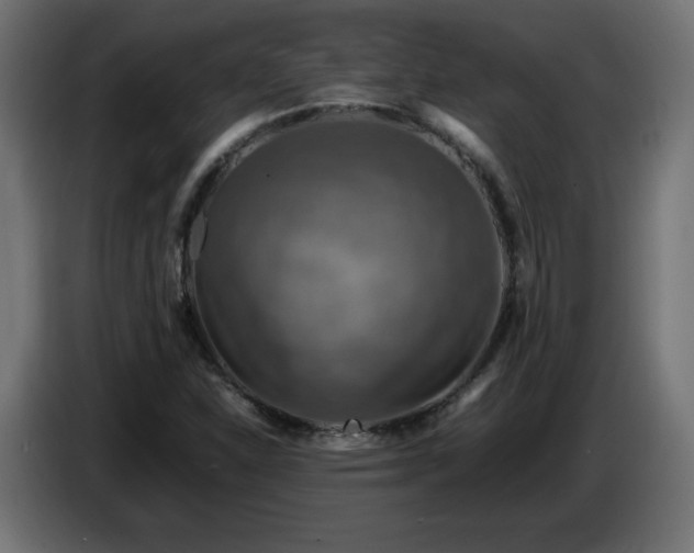 X0000087011310200704161534