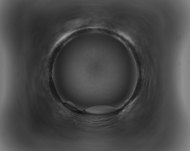 X0000087011311200704161534