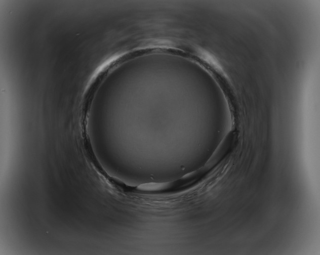 X0000087011312200704161534