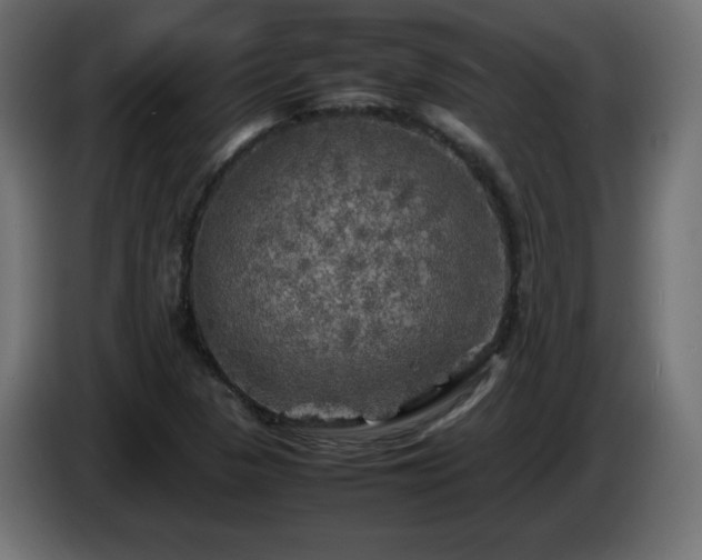 X0000087011313200704161534