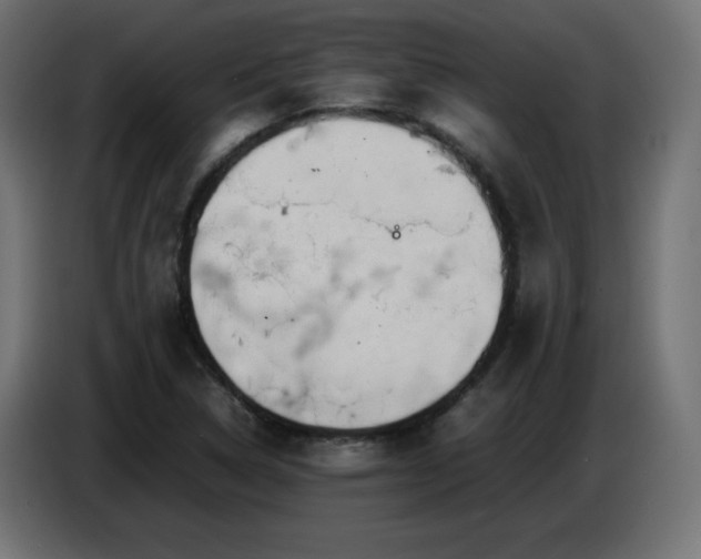 X0000087011314200704161534