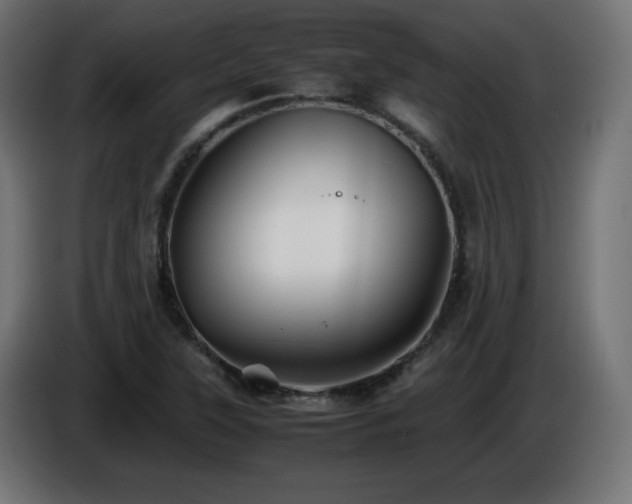 X0000087011315200704161534