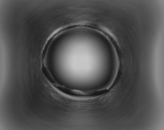 X0000087011316200704161534