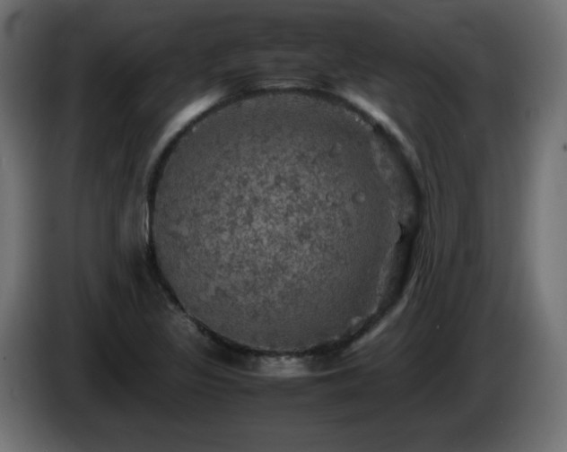 X0000087011317200704161535