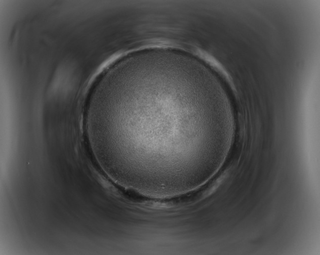 X0000087011318200704161535