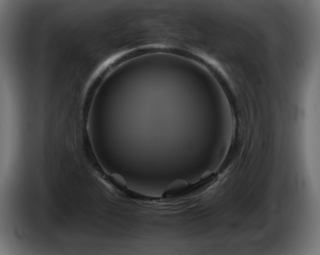 X0000087011319200704161535