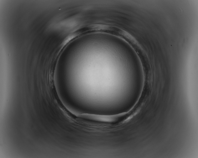 X0000087011321200704161535