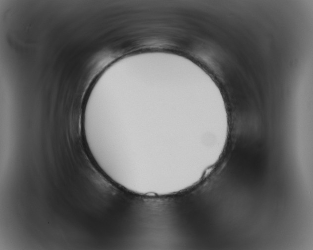 X0000087011322200704161535