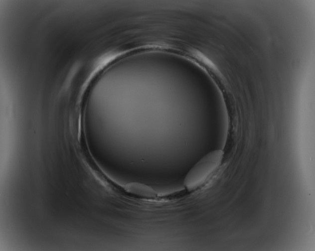 X0000087011323200704161535