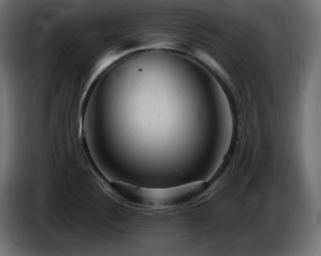X0000087011324200704161535
