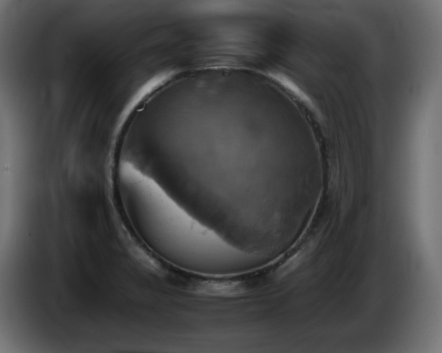 X0000087011325200704161535