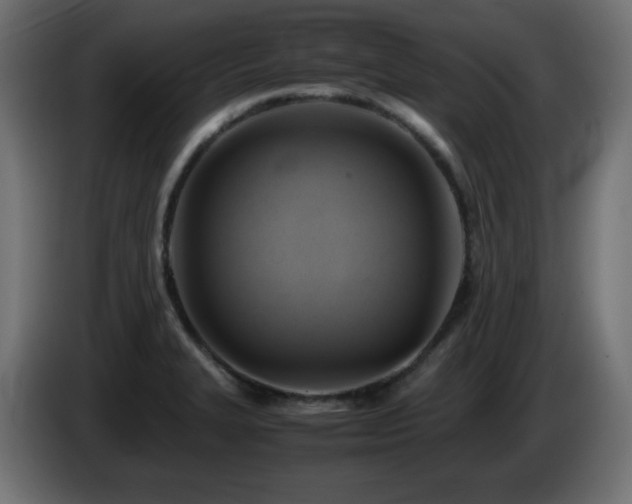 X0000087011327200704161535