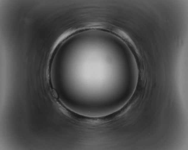 X0000087011328200704161535