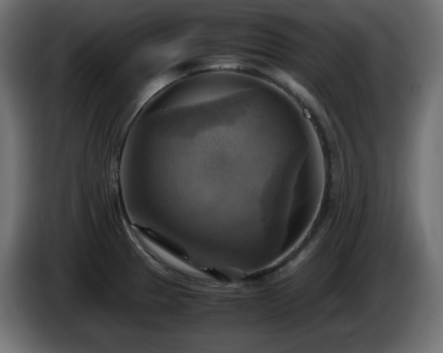 X0000087011329200704161535