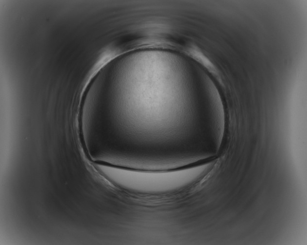 X0000087011330200704161535