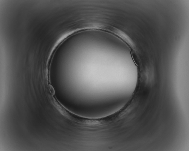 X0000087011332200704161535