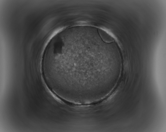 X0000087011333200704161535