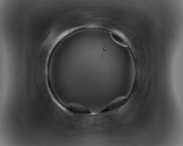 X0000087011335200704161535