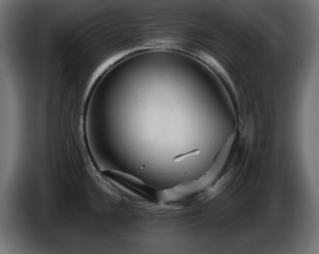 X0000087011336200704161535