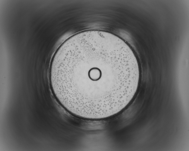 X0000087011338200704161535