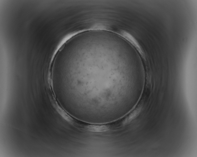 X0000087011340200704161535