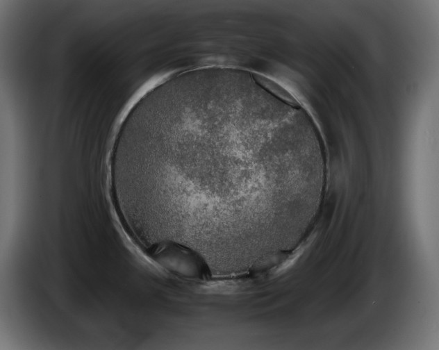 X0000087011341200704161535