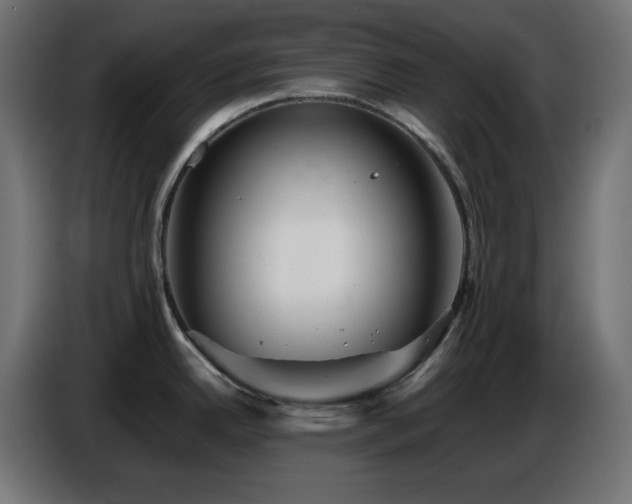 X0000087011342200704161535