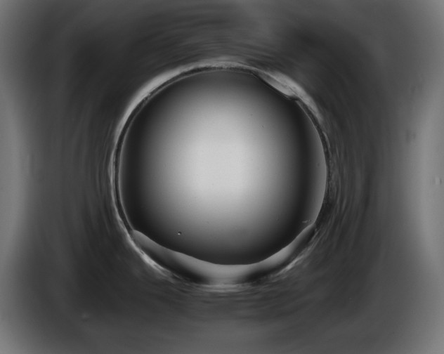 X0000087011343200704161535