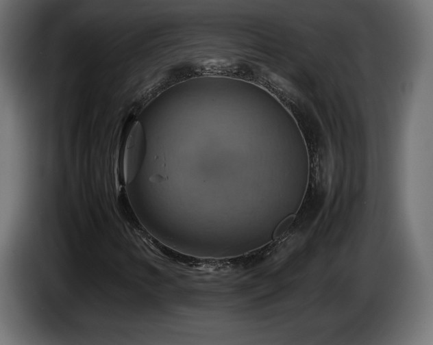 X0000087011346200704161534