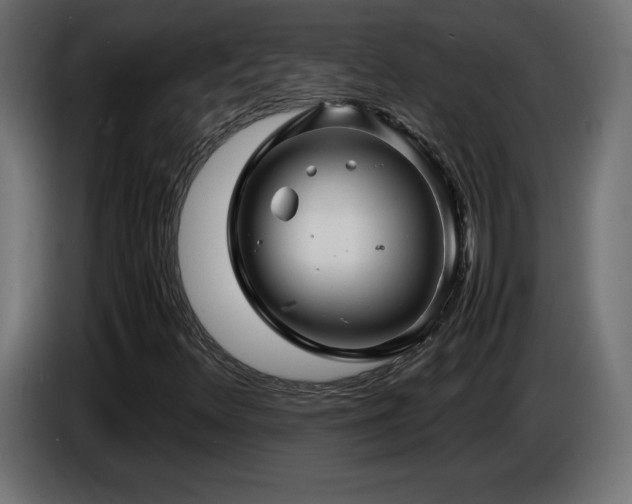 X0000087011348200704161534
